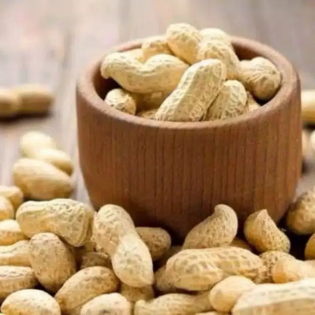 

KACANG KULIT SHANGRAY 125gr / 250gr / 500gr / 1kg