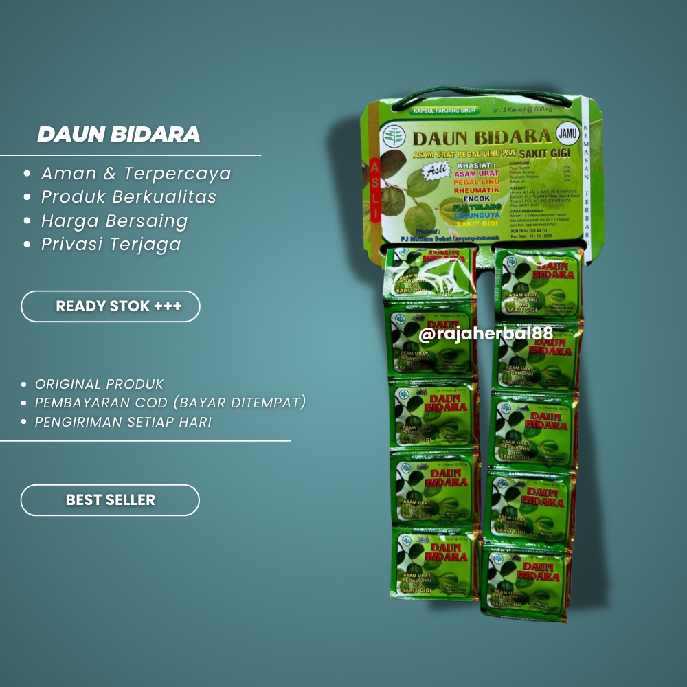 

Daun Bidara Original Kapsul Asam Urat Pegal Linu Plus Sakit Gigi