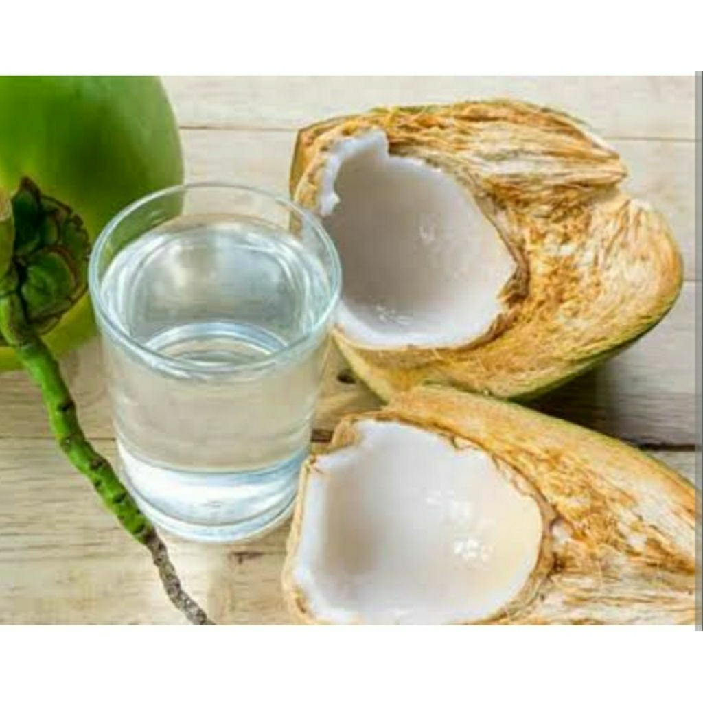 

KELAPA MUDA DAUGAN BARU PETIK