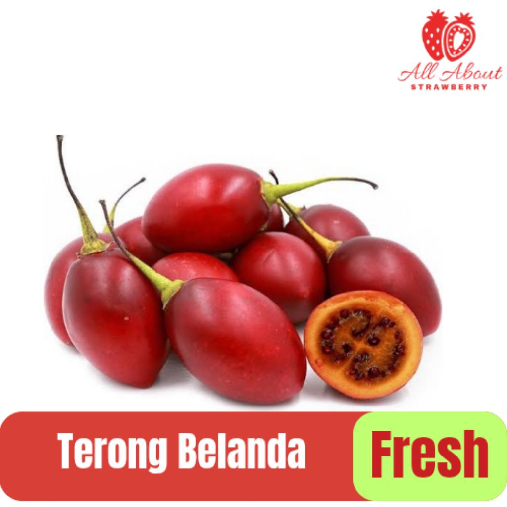 

Buah Terong Belanda / Tamarillo Fresh