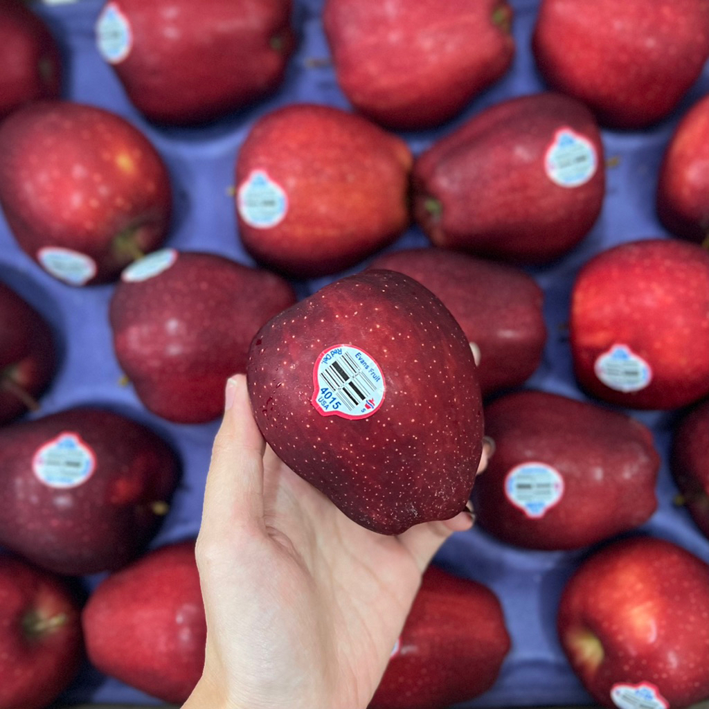 

Apel Merah Washington USA Amerika RED delicious baru fresh