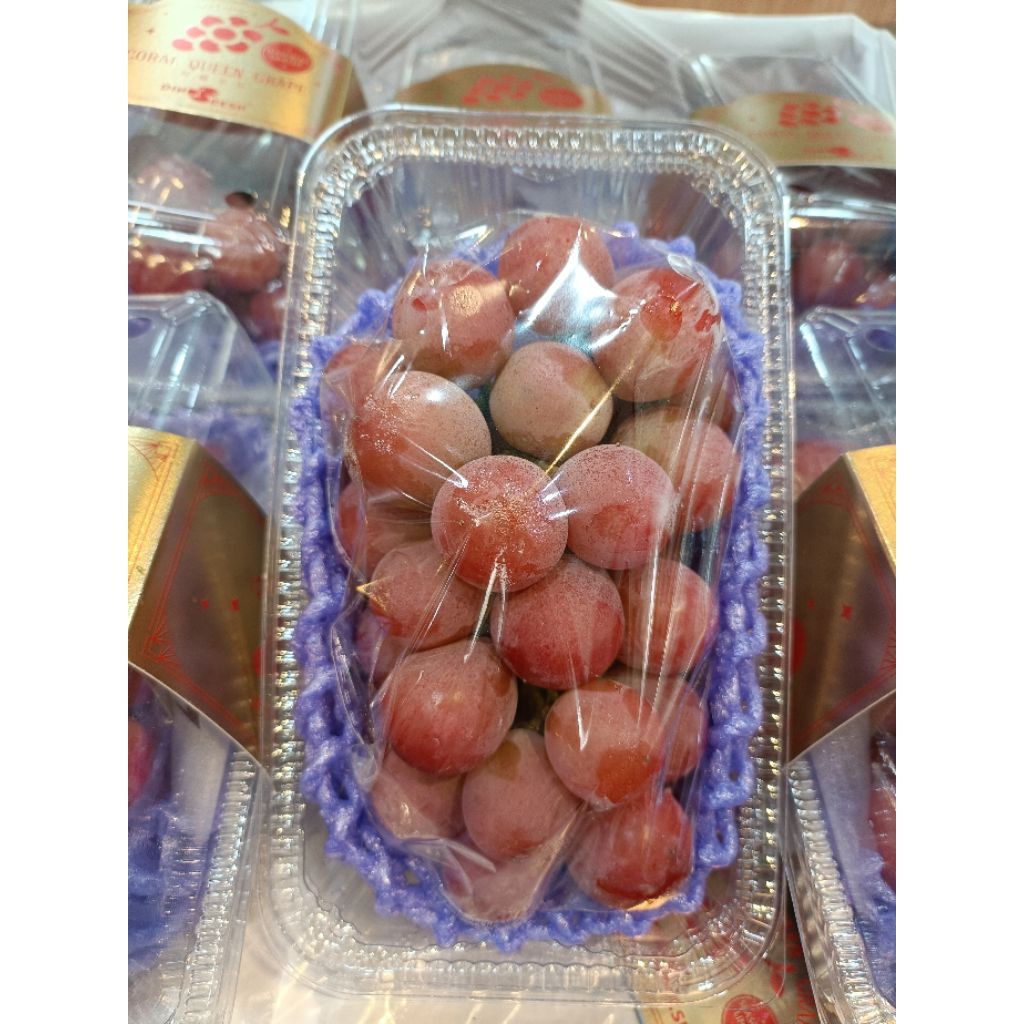 

ANGGUR QUEEN NINA PACK - ANGGUR IMPORT - SUKABUAH