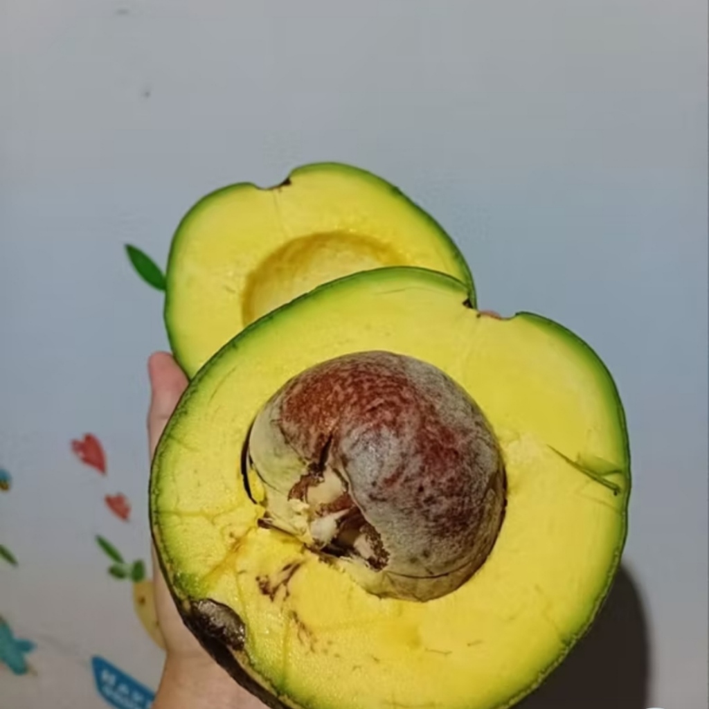 

ALPUKAT MENTEGA MARKUS JUMBO 1KG SEBIJI DAN 600GR FULL DAGING TEBAL