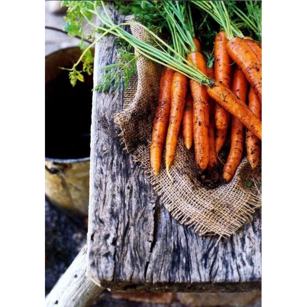 

wortel lokal 1kg-500gr murah