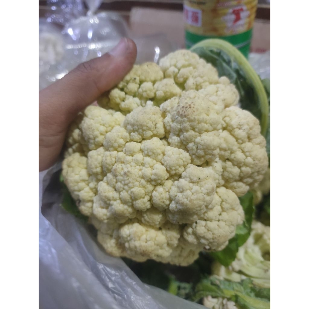 

INSTAN bunga kol kembang kol putih murah