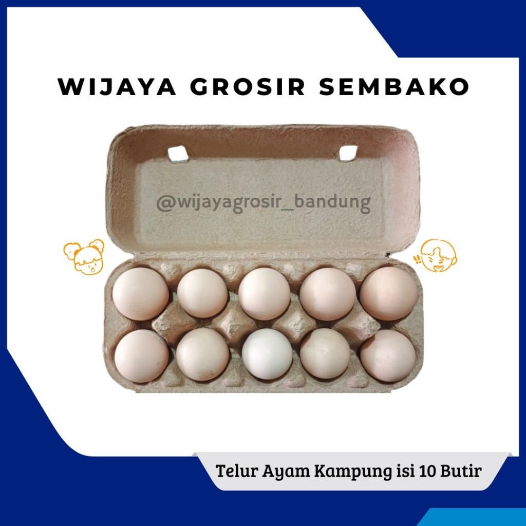 

Telur Ayam Kampung isi 10 Butir