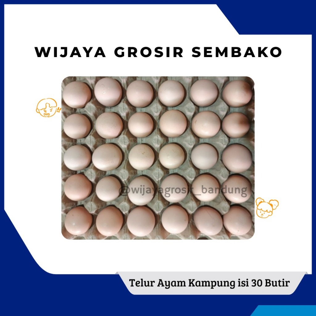 

Telur Ayam Kampung per tray isi 30 Butir