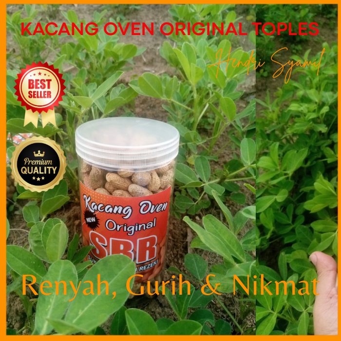 

Kacang Oven Kulit Sangrai Toples 300 gr | Cemilan Gurih Renyah