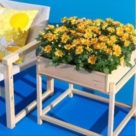 

Stand Tanaman PRIMARSKOG