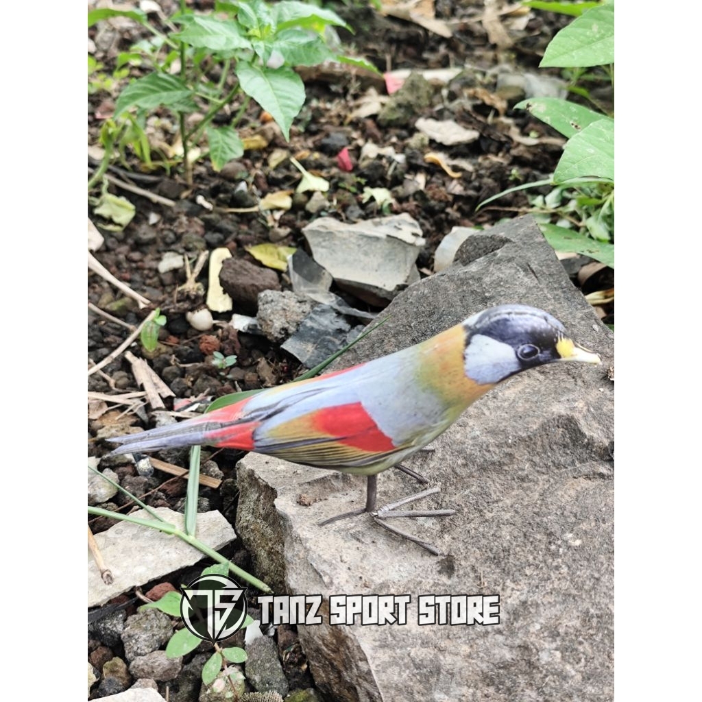 Jontrot boneka burung panca warna dekoy patung manuk paok