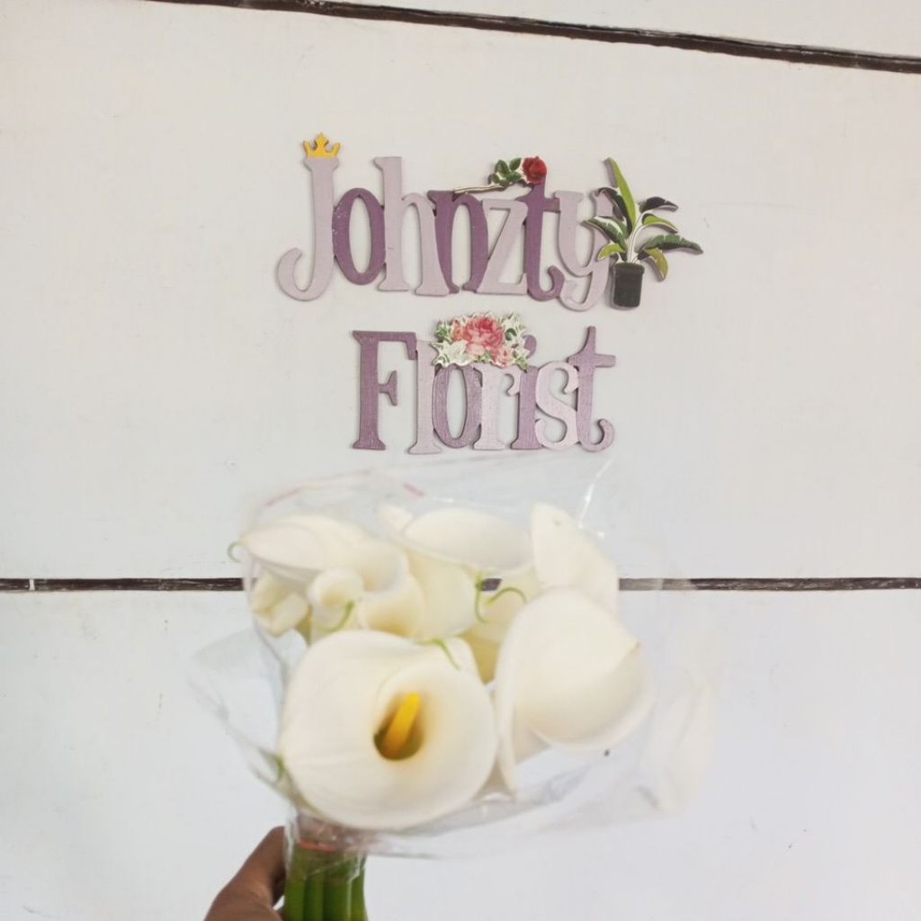 bunga potong segar Calla Lily putih / kala