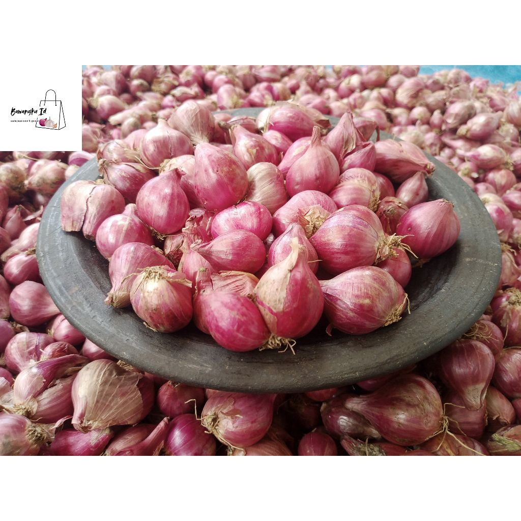 

bawang merah kering ukuran tanggung 1kg