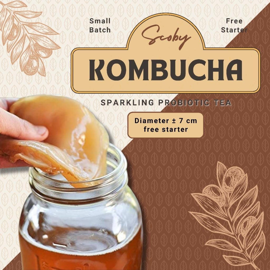 

Bibit Scoby Kombucha + FREE Starter 100 ml | Kultur Scoby Aktif Siap Fermentasi | Minuman Sehat Probiotik