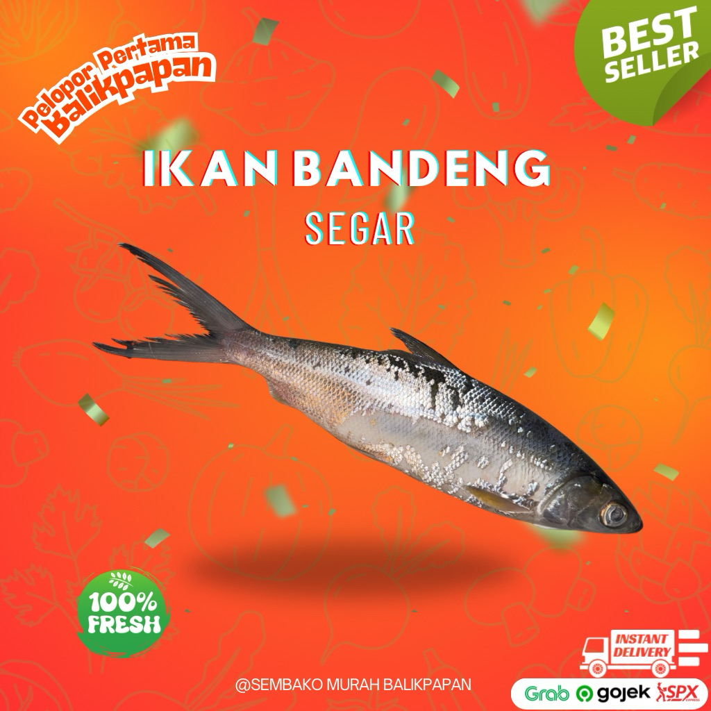 

ikan bandeng segar 1kg