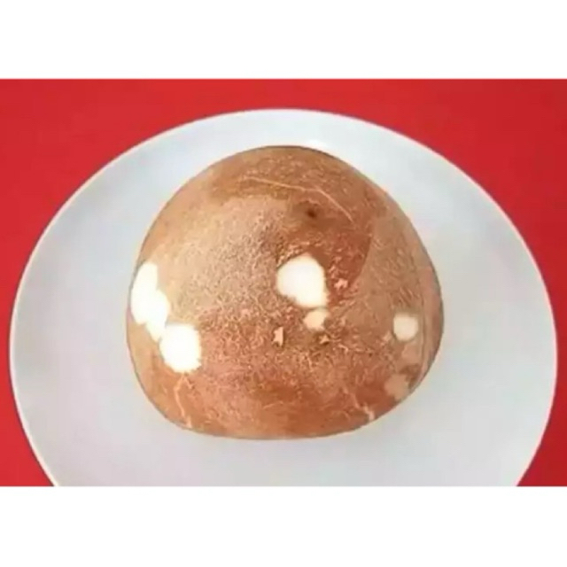 

Kelapa Tua Setengah Sudah Kupas Batok - Packing box plastik berisi air