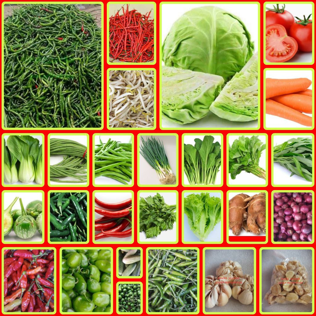 

Aneka Sayuran Segar 5000 ( Instan )