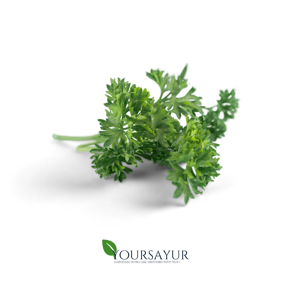 

Daun Parsley Segar | Fresh Daun Parsley | Sayur & Buah