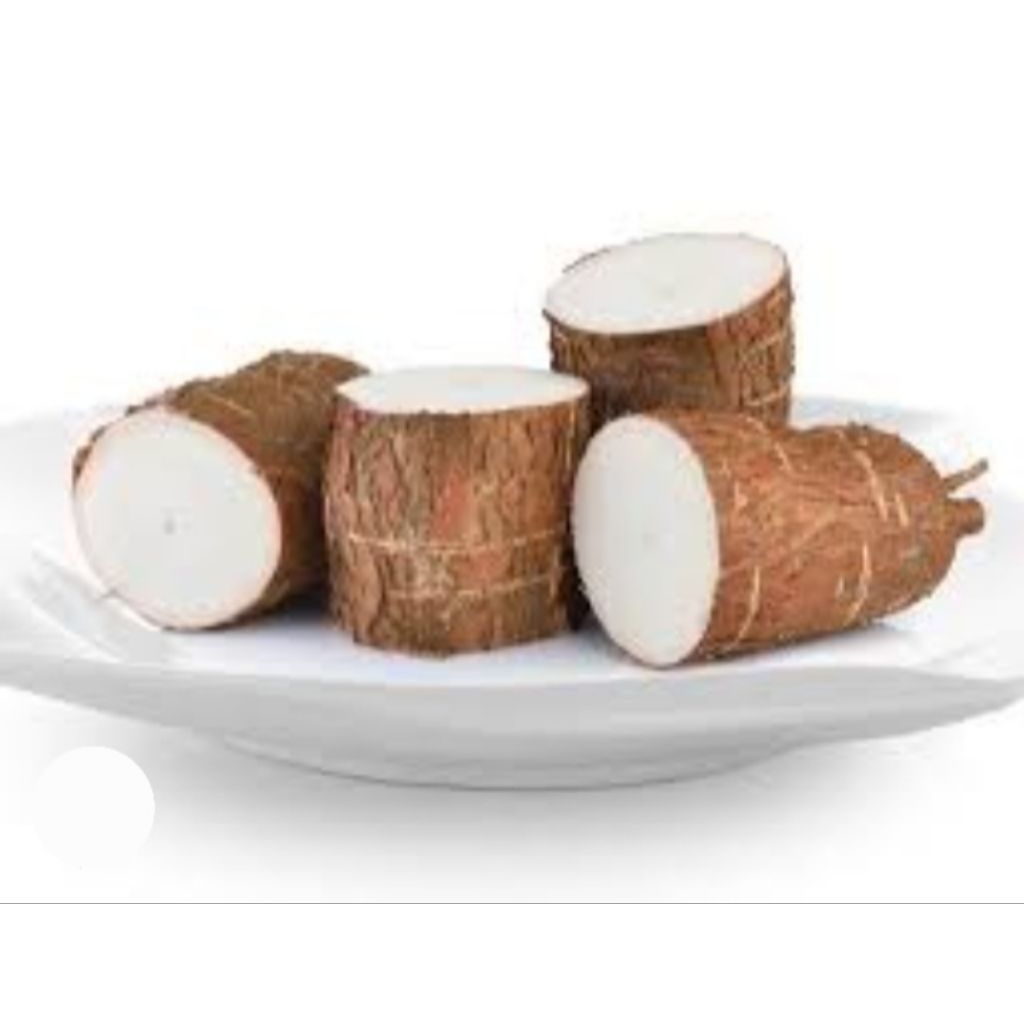 

Singkong ubi kayu ketela pohon 1kg fresh ya