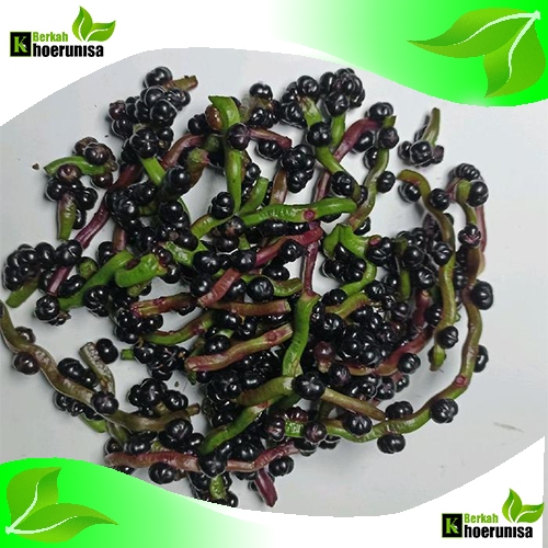 

Buah Angkung Segar 100 biji Herbal Alami fresh