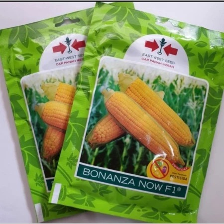 

PROMO SEPESIAL^^^Benih Bibit jagung manis BONANZA NOW F1 isi 1800 Biji ORIGINAL ASLI KEMASAN PABRIK