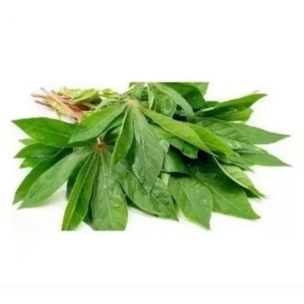 

Daun Singkong 1 ikat