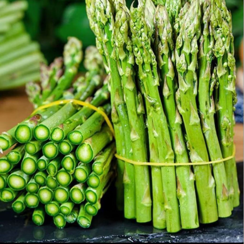 5 biji,benih,bibit asparagus