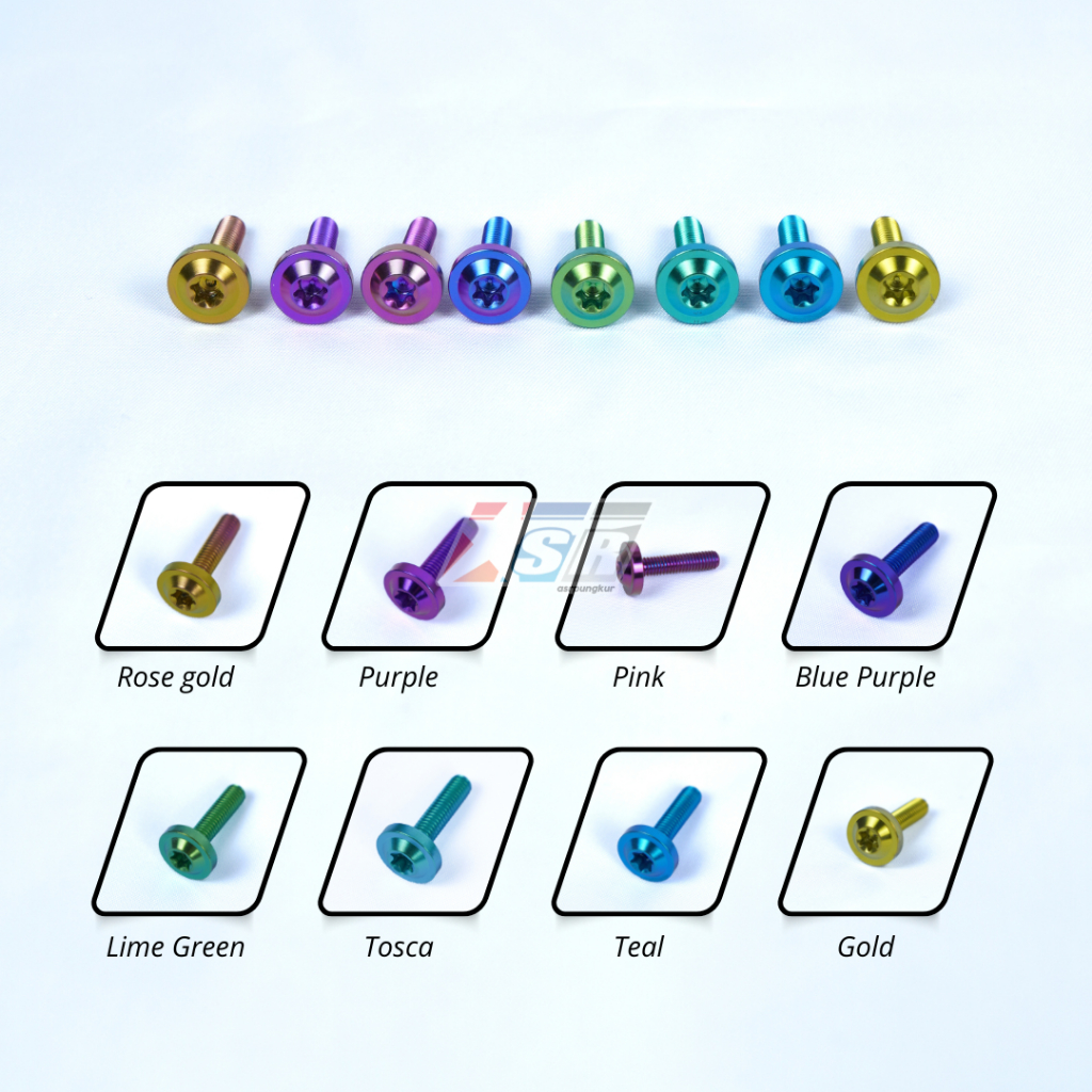 Baut Kasar Sekrup Screw Titanium GR5 Yamaha Honda Warna RAW