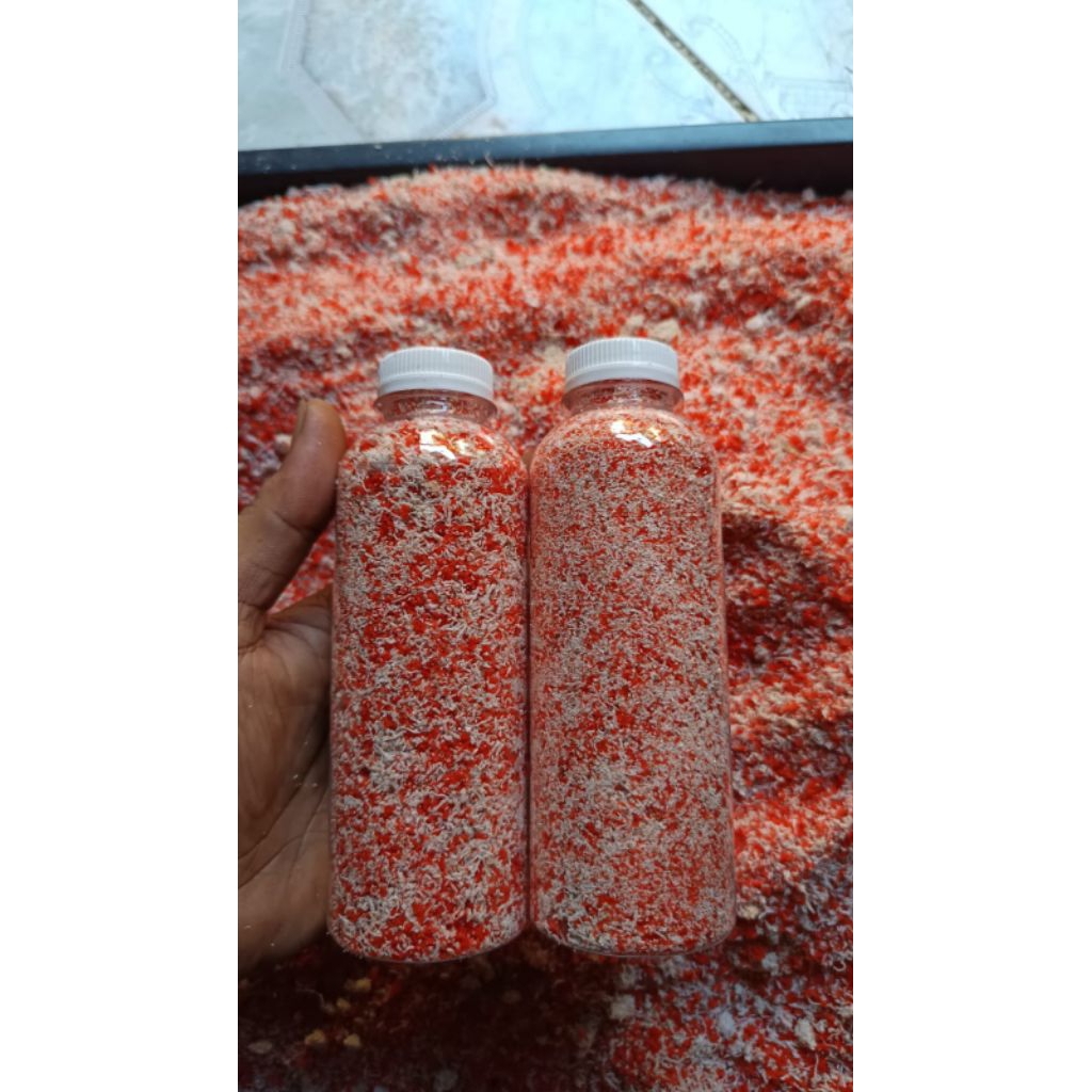 pakan khusus kelomang merah(red hermitcrab)