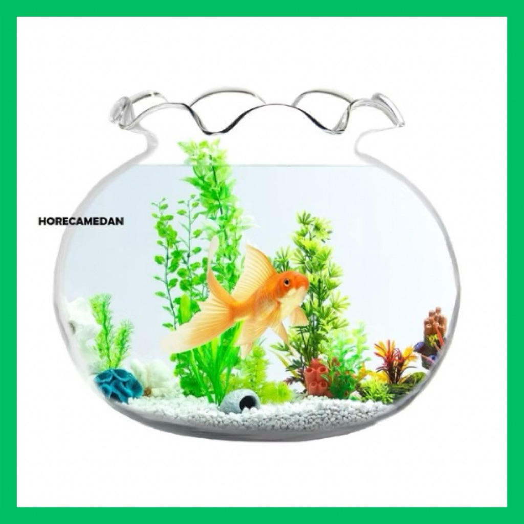 DLX Aquarium Kaca bulat Jerex Shella kecil min 1,5liter besar max 17liter