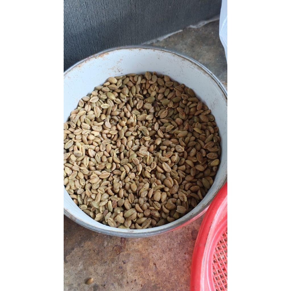 

1 Kg Kopi ROBUSTA khas lampung / kopi asli original 100% kopi asli tanpa campuran kopi asli 1kgkopi asli 100%kopi asli lampungkopi asli bubuk 1kgkopi / asli robustakopi / kopi asli arabika / kopi asli sumatra