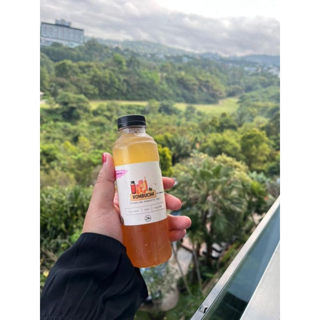 

KOMBUCHA VARIAN SOLO MELATI BY CYMBUCHA.ID KOMBUCHA TEA KOMBUCHA SCOBY KOMBUCHA VIRAL KOMBUCHA MURAH KOMBUCHA ENAK KOMBUCHA TERPERCAYA KOMBUCHA PROBIOTIK