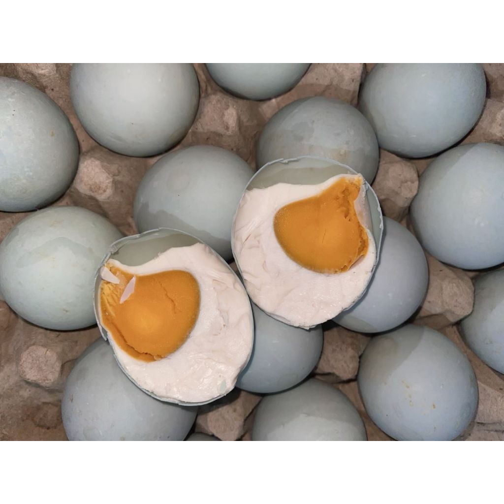 

TELUR ASIN MASIR GURIH MURAH