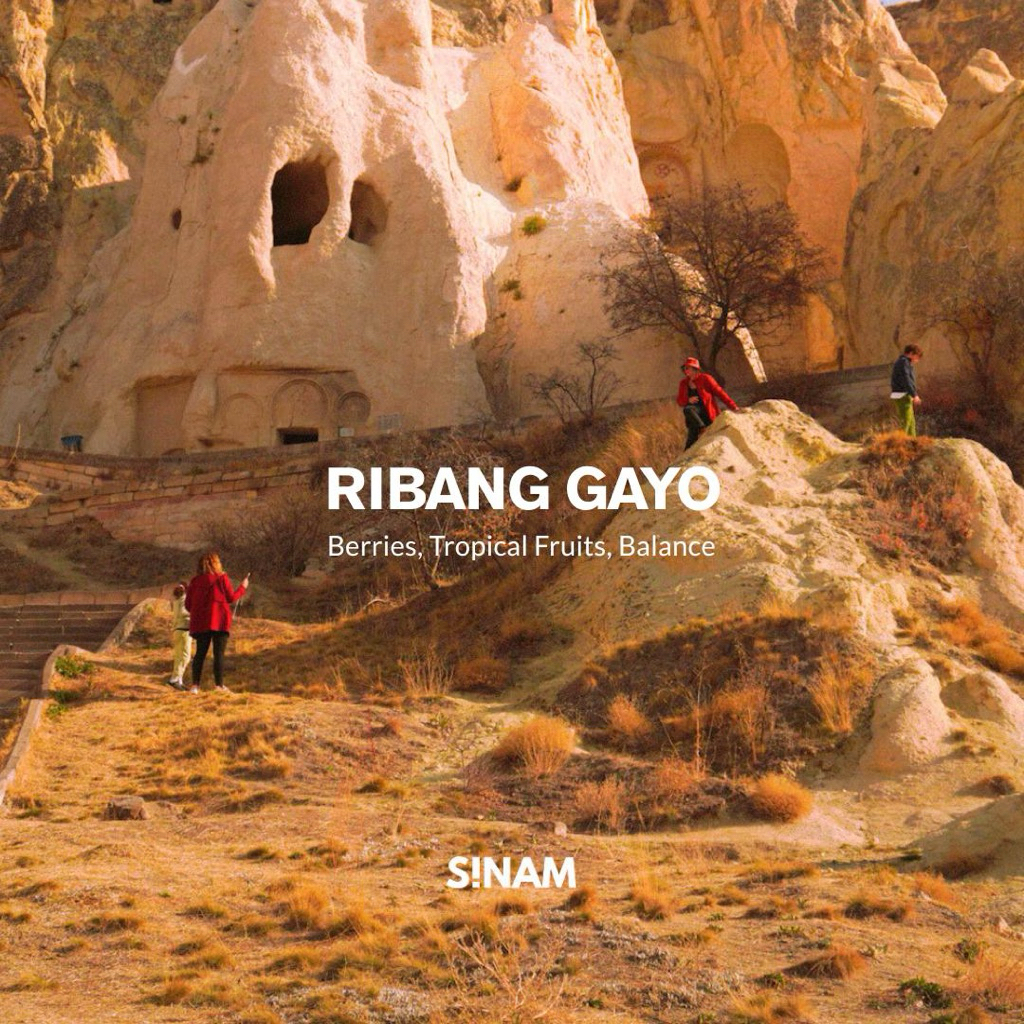 

Ribang Gayo Natural (Filter Coffee Roast)