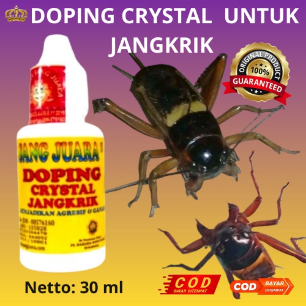 CRYSTAL DOPING UNTUK JANGKRIK ADUAN