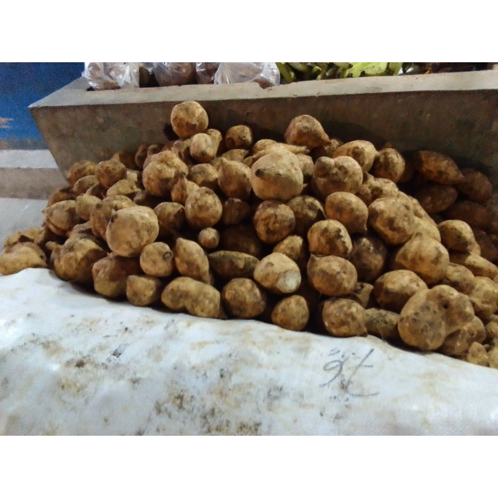 ubi jalar,ubi  ungu dan ubi kuning 1 kg