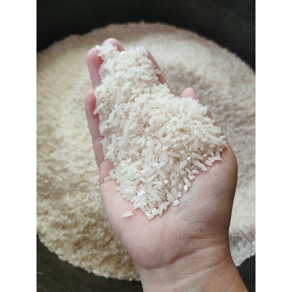 

Beras kemasan 10kg berkualitas