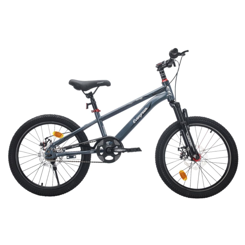 MTB 20" Evergreen Single Speed