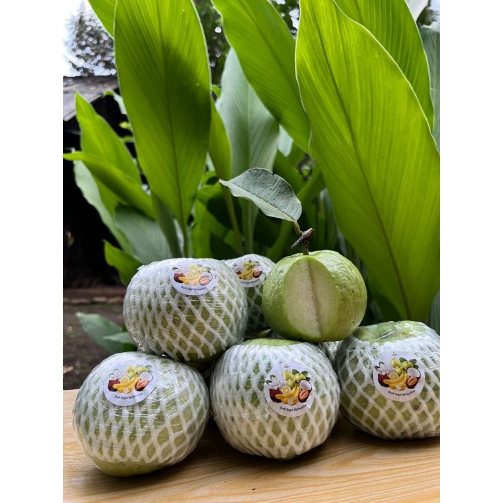 

(PM)Jambu Kristal 1Kg Paket Mewah Fresh Dan Kriuk