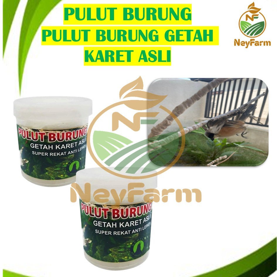 Pulut Burung 20cc Isi Getah Karet Asli Pulut Burung Viral Lem Super Lengket Lem Jebakan Burung Lem P