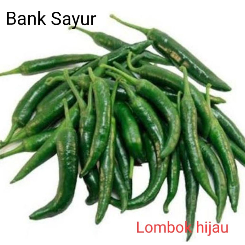 Lombok Hijau Besar