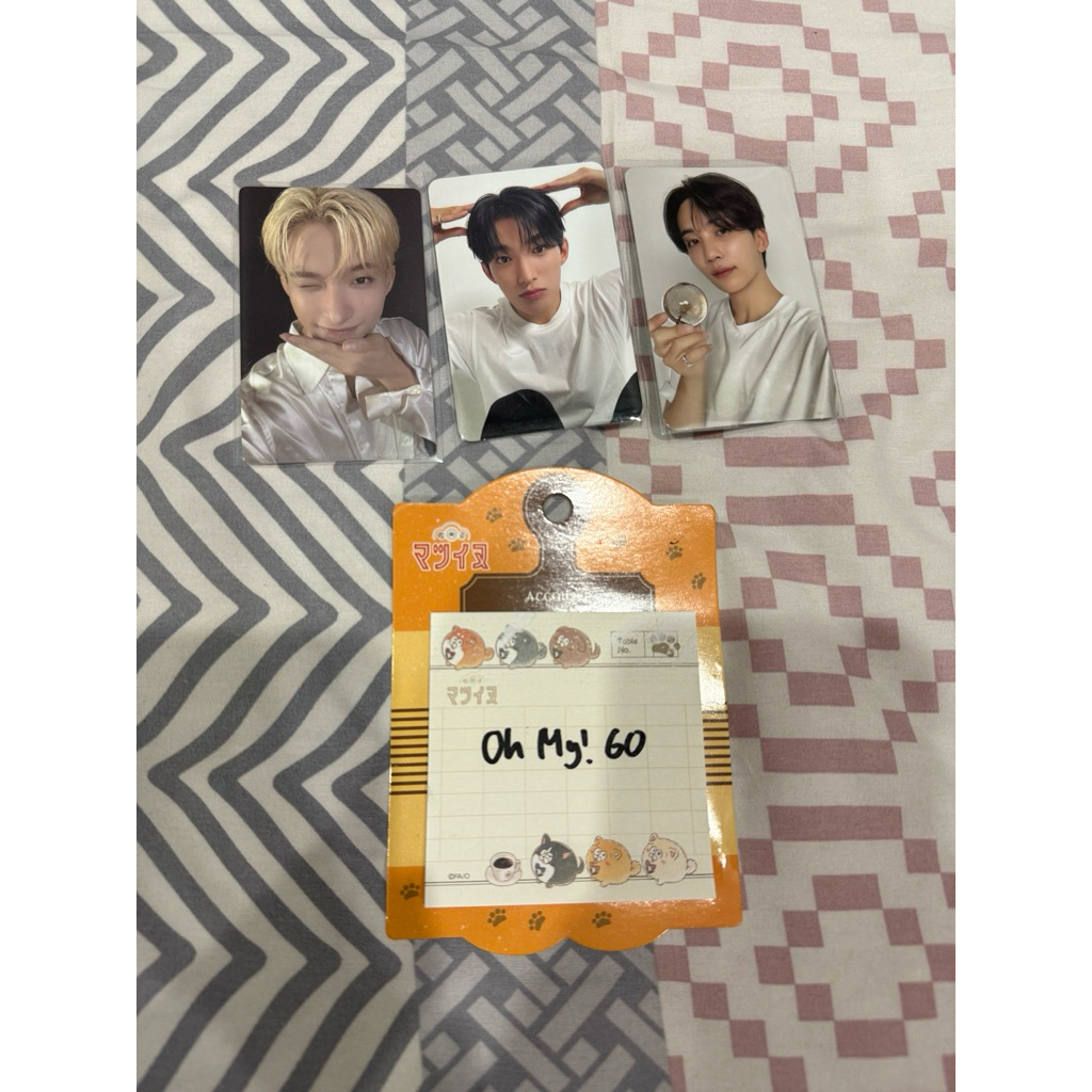 dk puppy dk stf js carver rh + shua