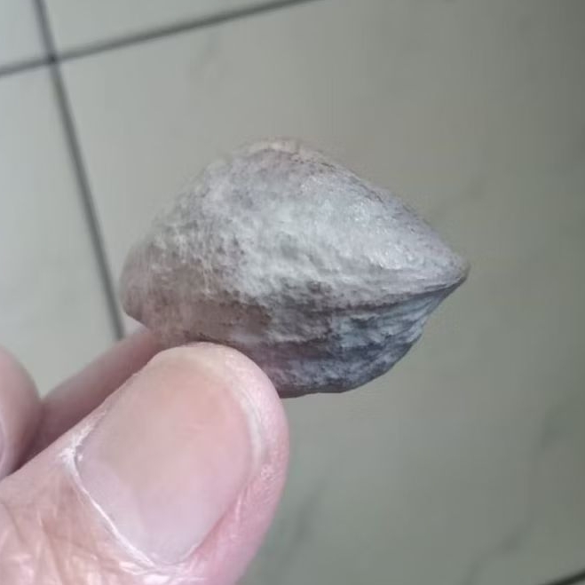 Kemiri Adu Muncang Adu Mantili Suuk Ori Pasangan Mewah