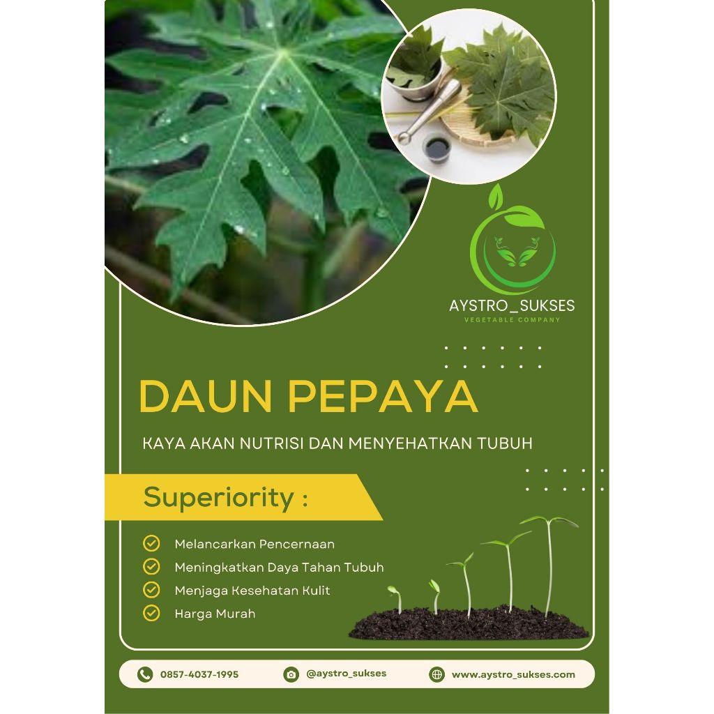 

PROMO!!! MURAH!!! DAUN PEPAYA SEGAR