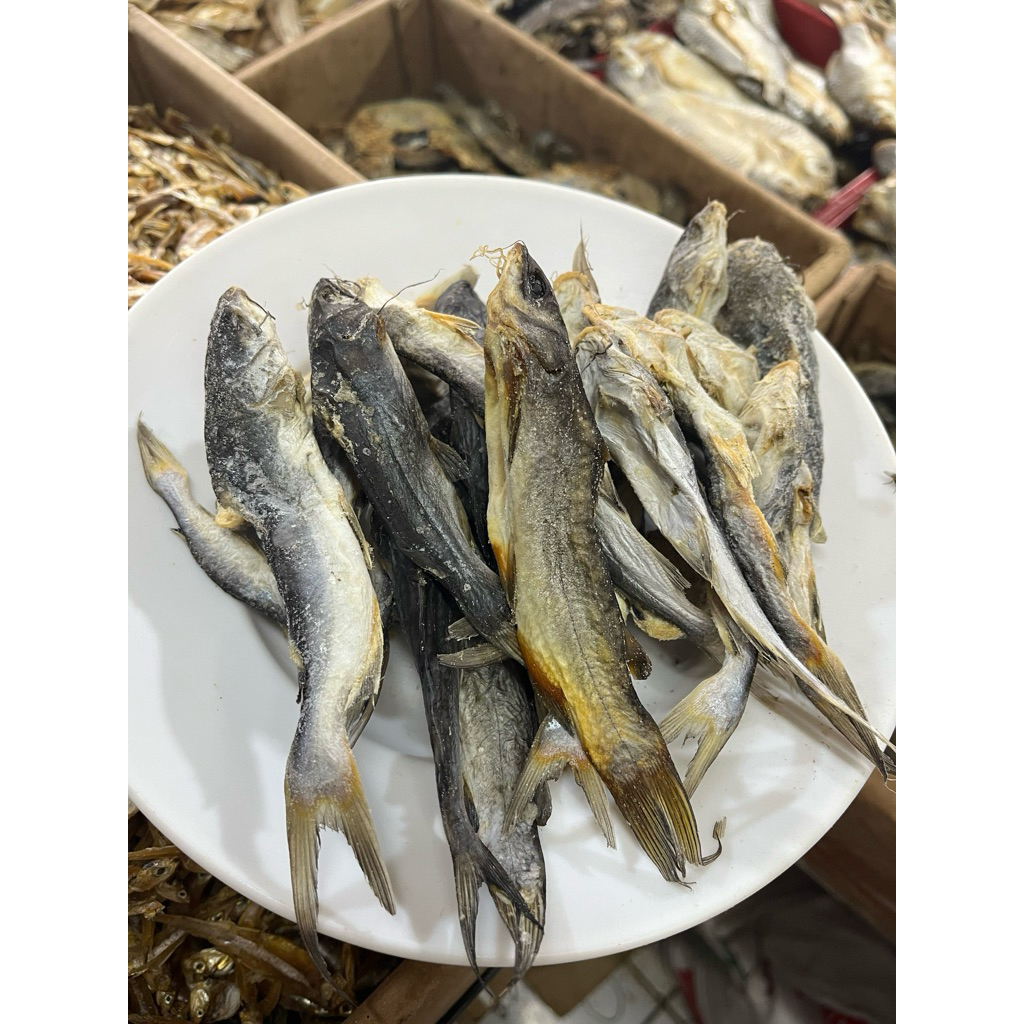 

PROMO Ikan asin keting/lundu super murah 1 kg