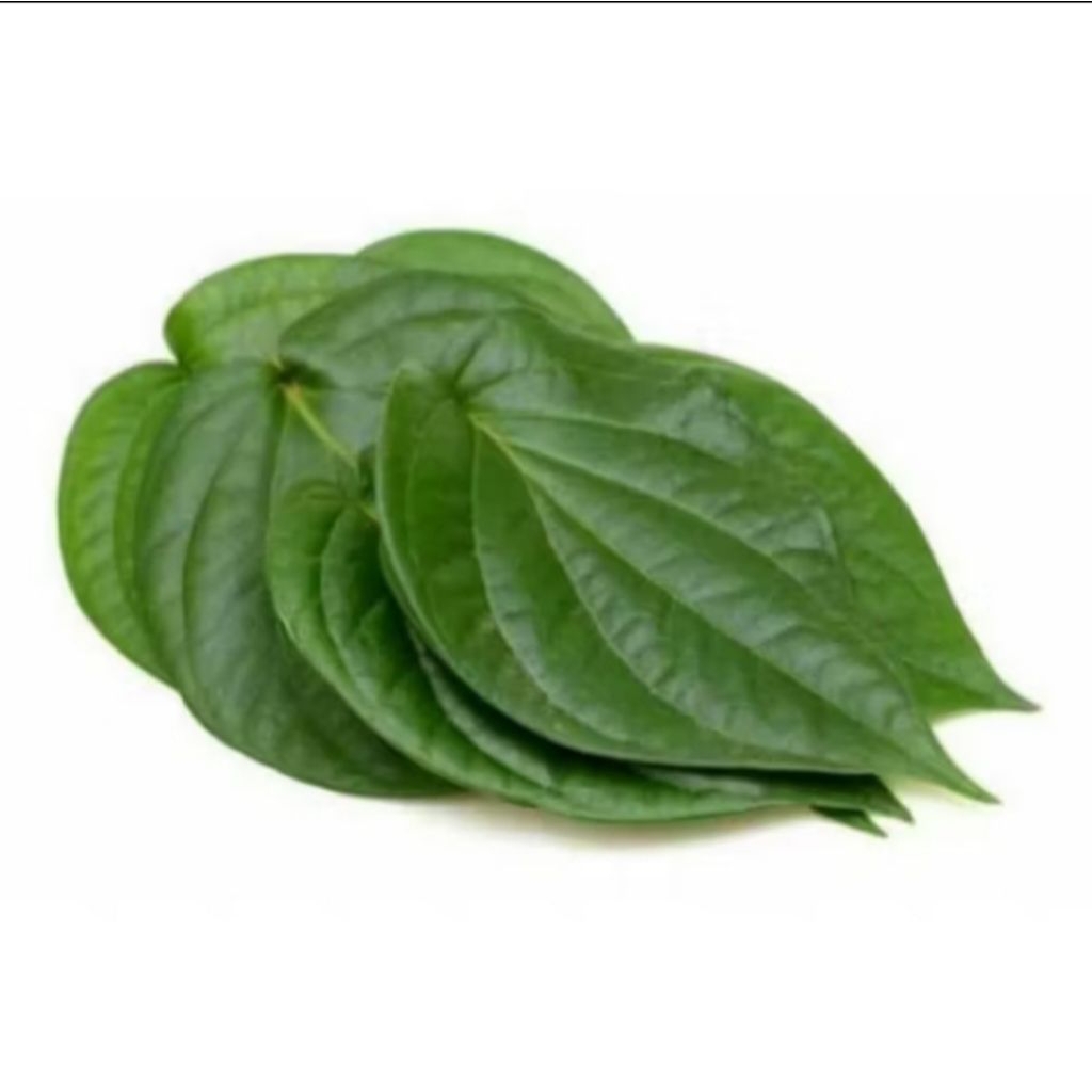 

Daun Sirih Hijau Fresh 250Gram