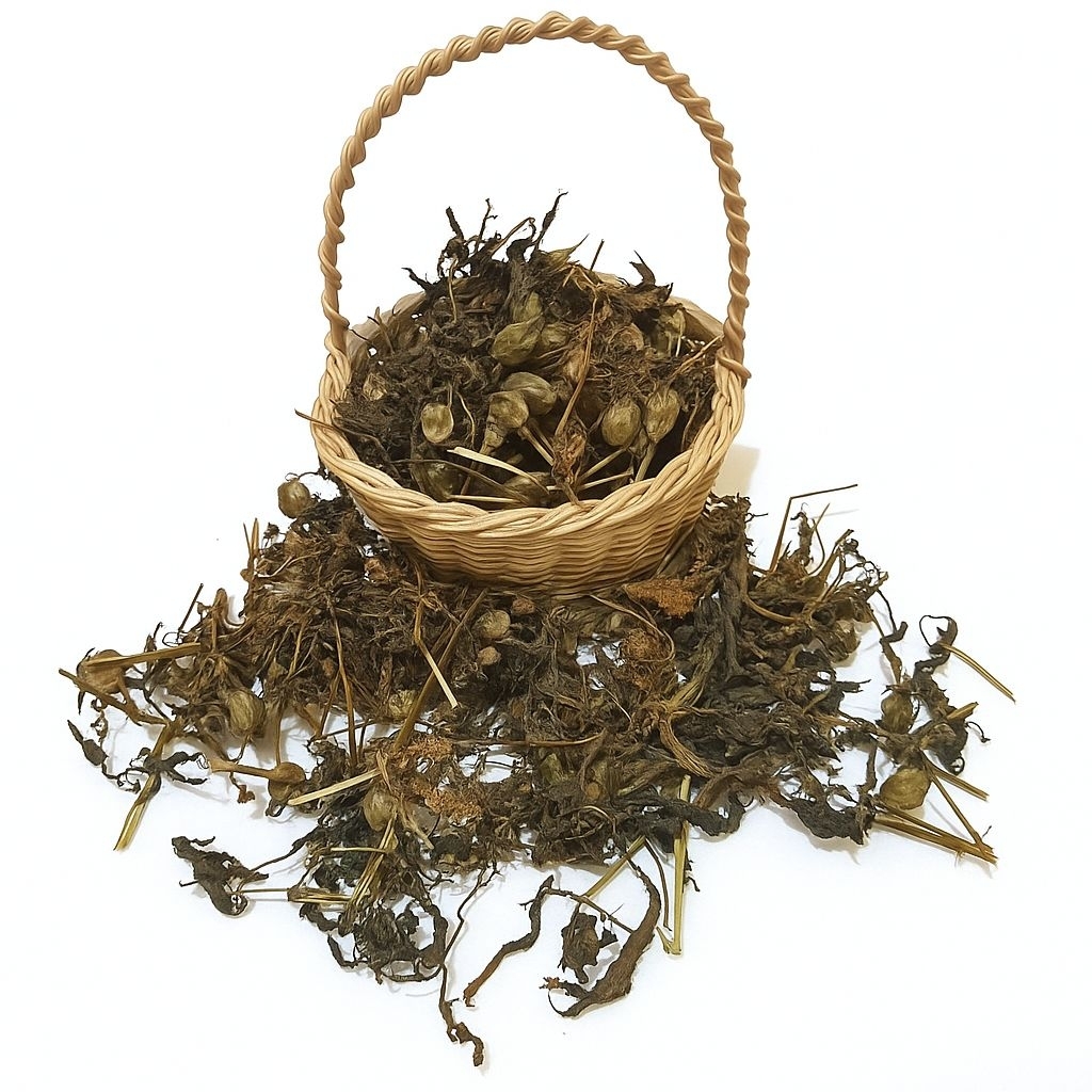 

Daun ciplukan/cecenet/cecendet 500g-1KG herbal kering