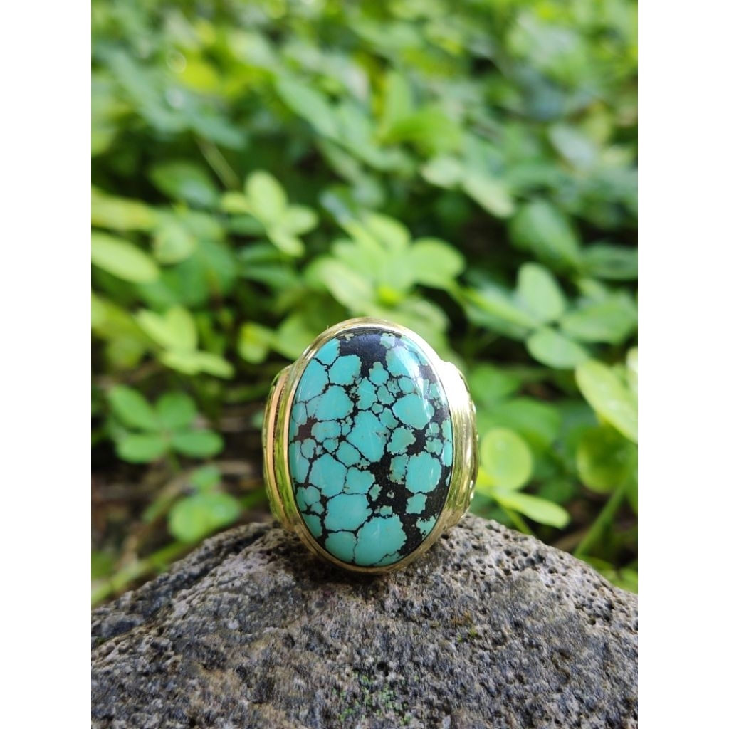 Pirus hubei/xinjiang HQ