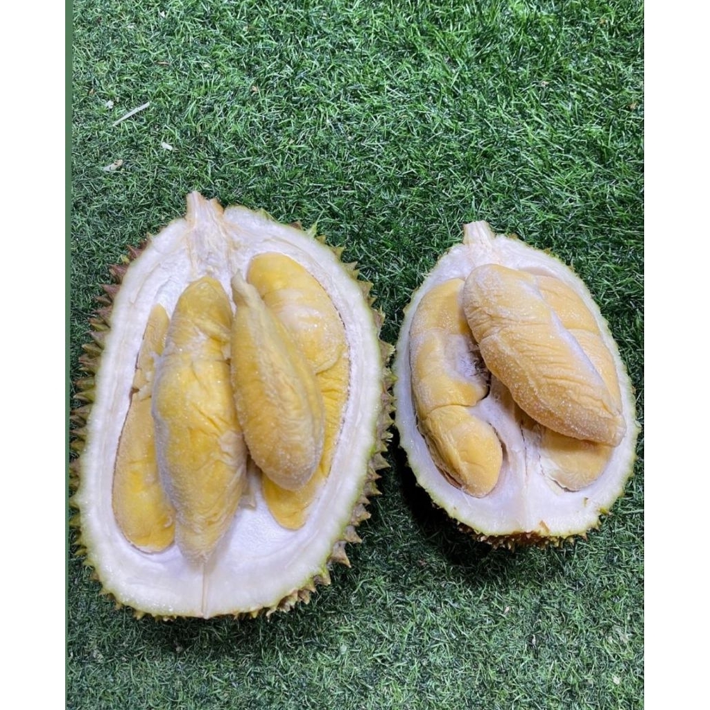 

paket durian musang king nitrogen 2/3/4 buah / buah durian musang king nitrogen