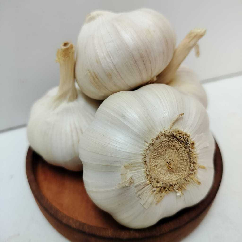 

COD 250 GRAM BAWANG PUTIH FRESH GROSIR BESAR KALIMANTAN