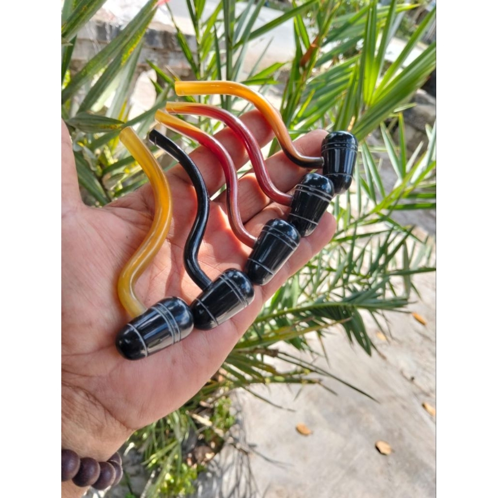 once pipa cangklong popeye tanduk lengkung